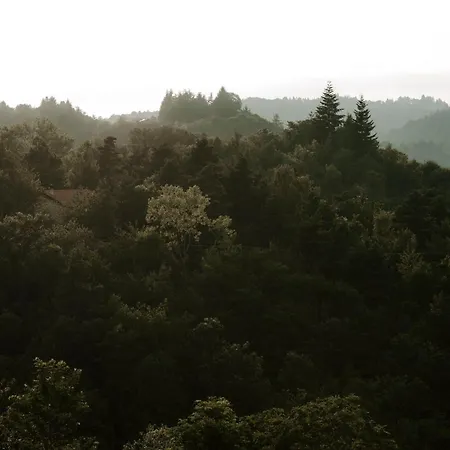 Liela - Ospitalita Di Borgata Roccavignale