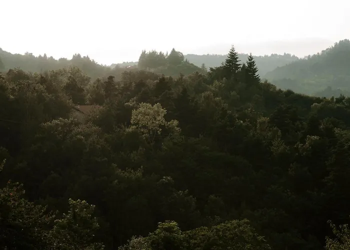 Liela - Ospitalita Di Borgata Roccavignale